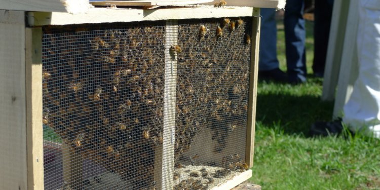 The Plymouth County Beekeepers
