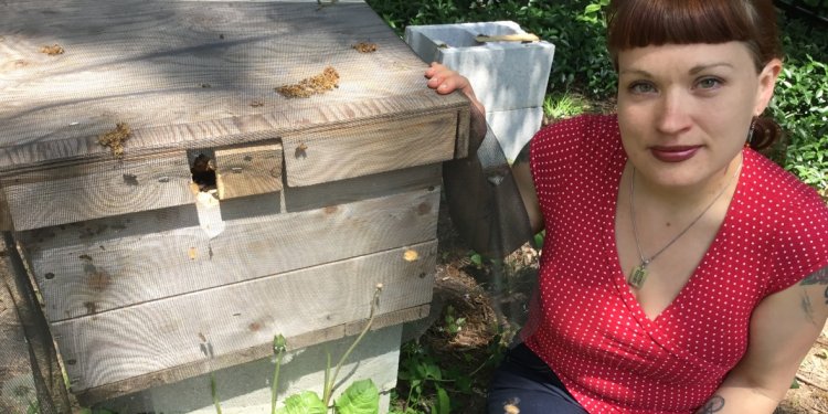 Give backyard beehives more