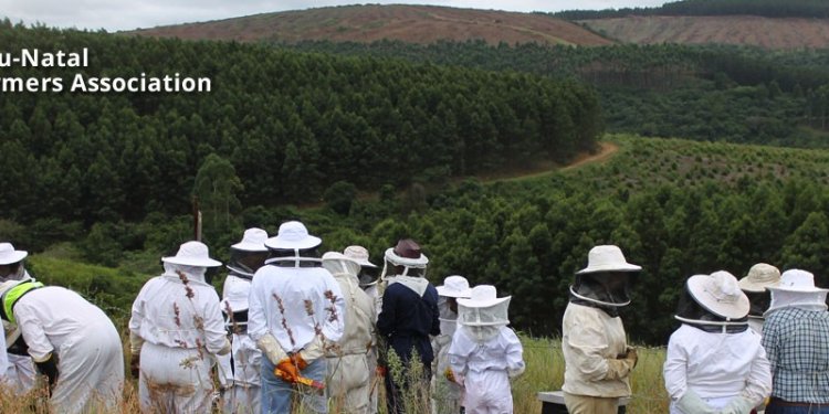 KZN Bee Farmers Association