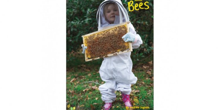 Let s Learn about Bees Big