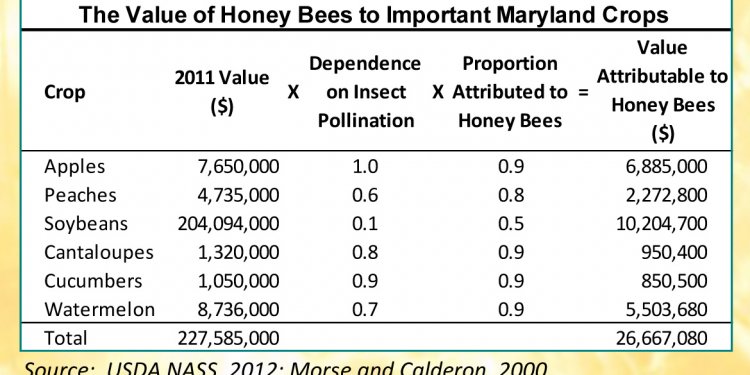 Maryland Beekeepers: Honey