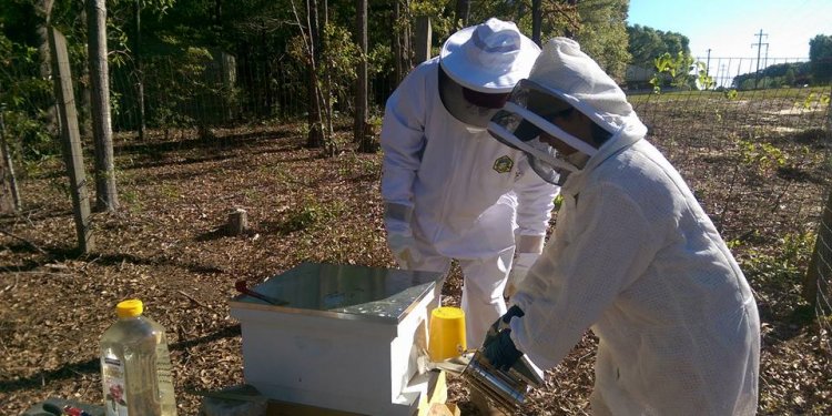 SE Alabama Beekeepers