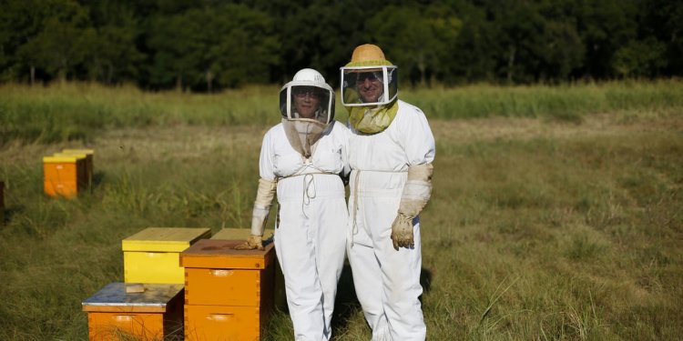 Small honey harvesters see