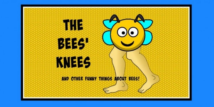 The Bees Knees: Idioms