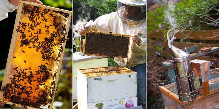 Meet the Maker: Cloister Honey