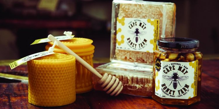 Importance of beekeeping