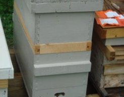 5 framework nucleus mobile builder hive