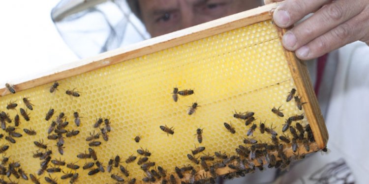 Beekeepers equipment List
