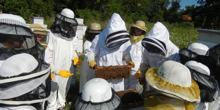 How to become a Beekeeper?