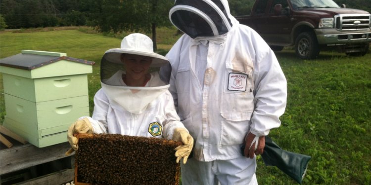Beekeeping, Indiana