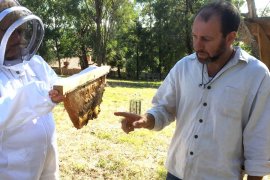 Beekeeping program Warranwood Melbourne