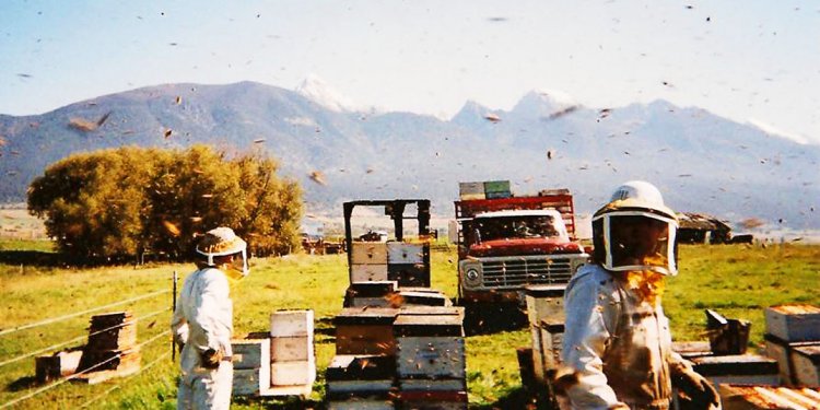 Beekeeping Farm