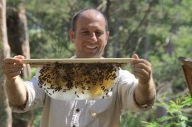 Beekeeping normally program