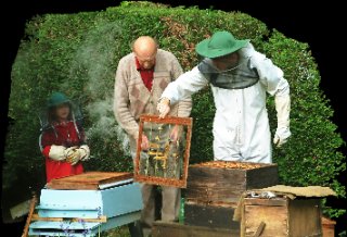 Beekeeping defensive clothes