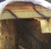 Beekeeping_Protective_Gear_Helmet_and_Veil