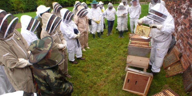 Beekeeping information