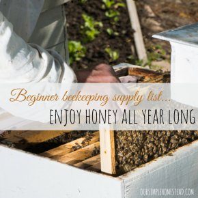 Beginner Beekeeping Supply checklist