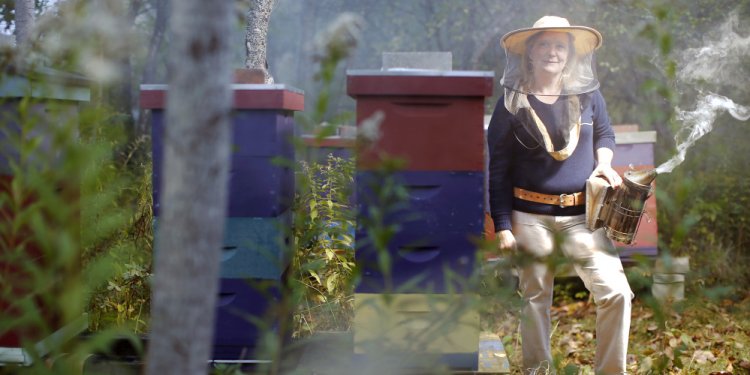 Beekeeping Supplies Maine