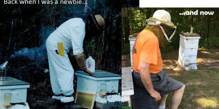 Master beekeeper certification