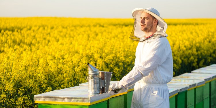 All about Beekeeping