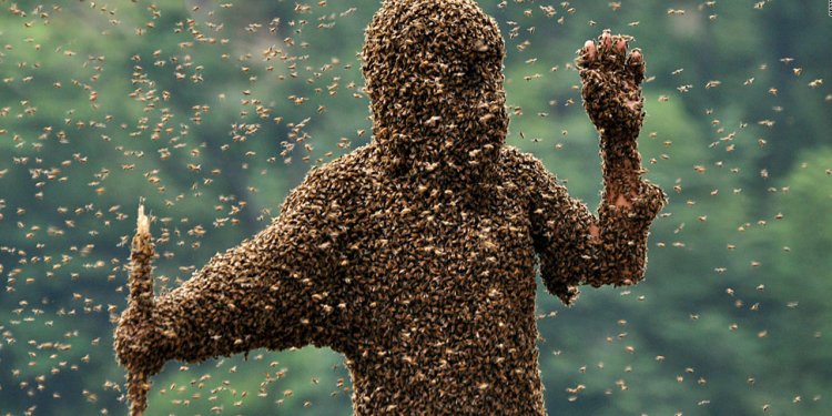 Beekeeping Suit reviews