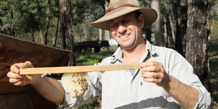 Beekeeping in Kenya