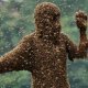 Beekeeping Suit reviews