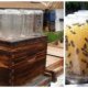 DIY bees hives
