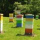 How to make honey bees Boxes?