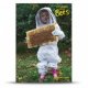 Learn about bees