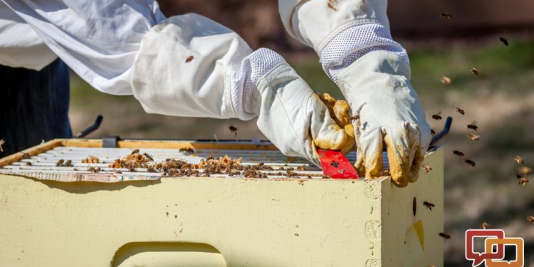 Beekeeping Supplies Utah