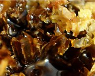 Beekeeping in Oklahoma