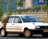 Beekeeping insurance