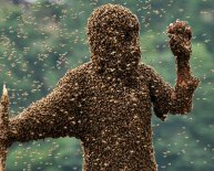 Beekeeping Suit reviews