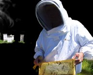 Beekeeping Supplies Virginia