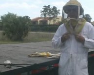 Homemade Bee Suit
