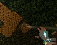 How to Farm bees?