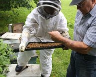 Indiana Beekeepers Association