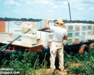 Lake County Beekeepers