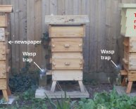 warre hive management