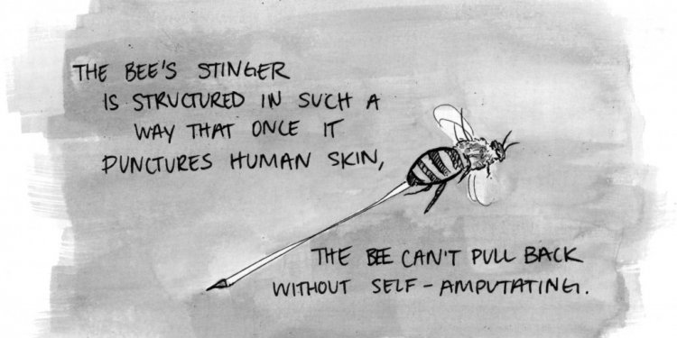 Word for beekeeper